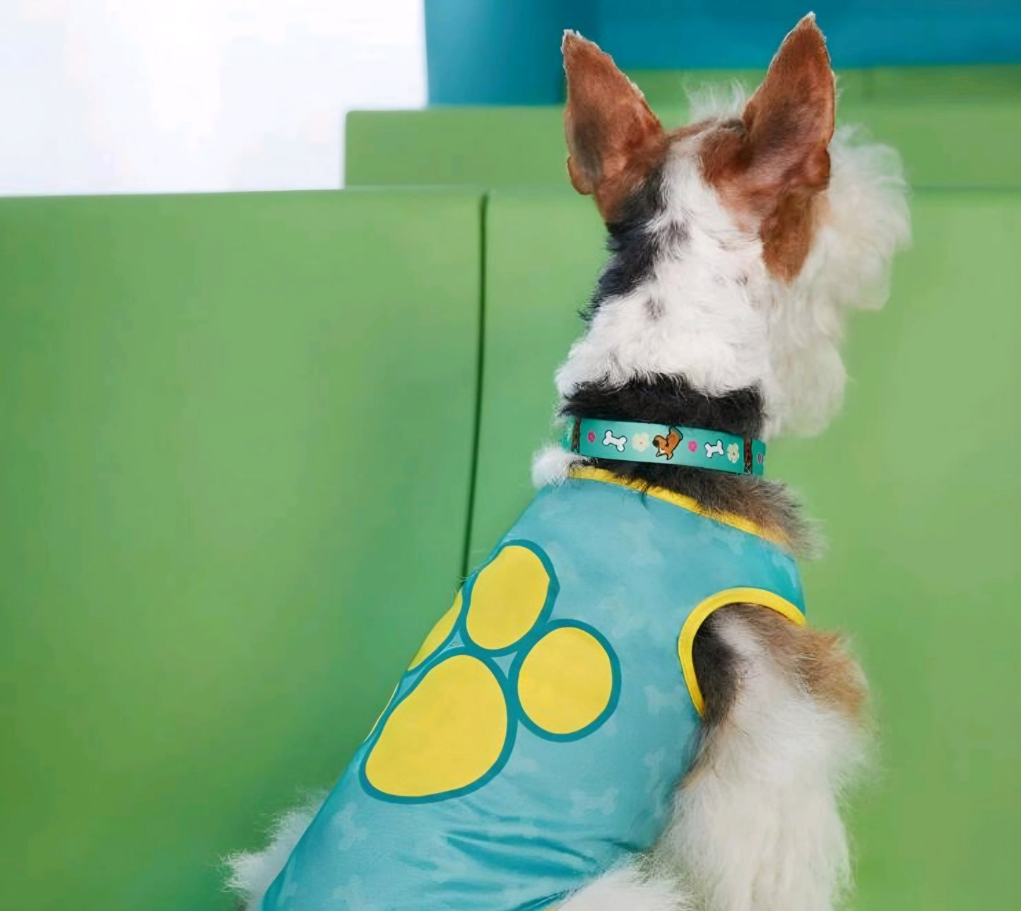 Scooby-Doo Dog Vest