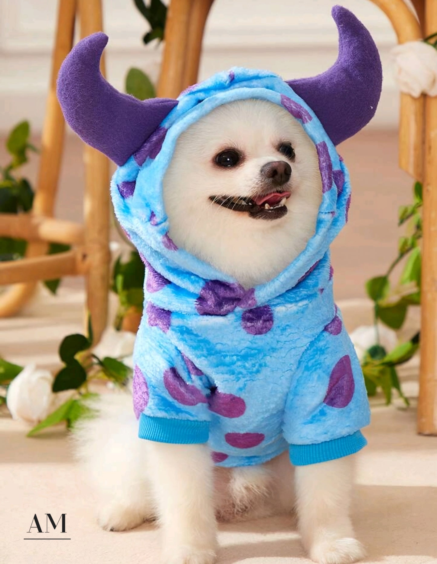 Monsters Inc Dog Hoodie