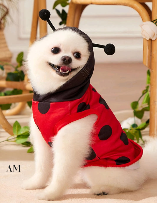 Ladybug Dog Hoodie