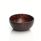 Coconut Shell Bowl