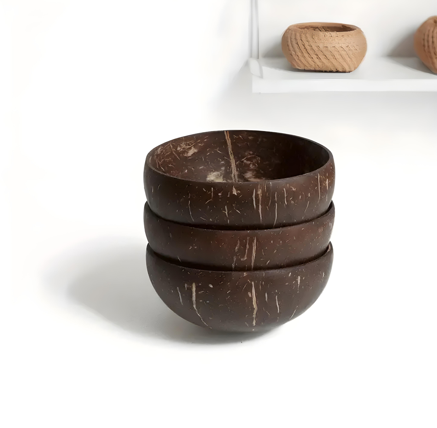 Coconut Shell Bowl