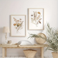 Wild Flower Wall Art - Set of 6